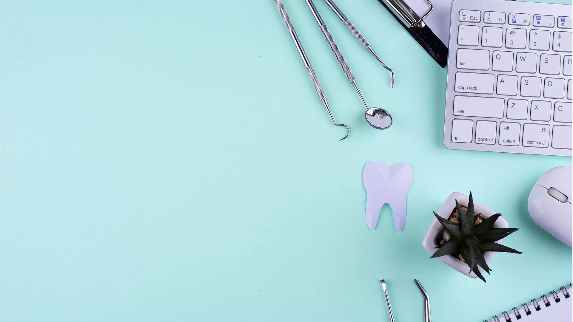 Dental instruments on a mint background
